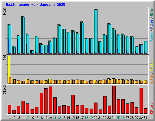 Daily usage for January 2025