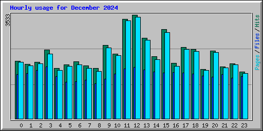 Hourly usage for December 2024