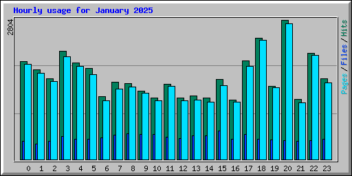 Hourly usage for January 2025
