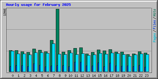 Hourly usage for February 2025