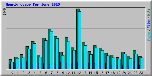 Hourly usage for June 2025