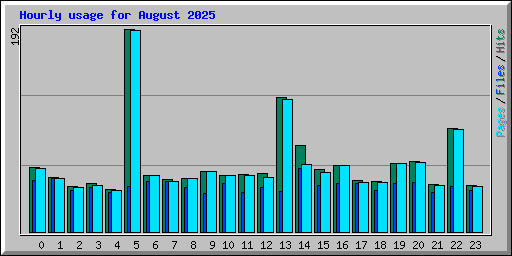 Hourly usage for August 2025