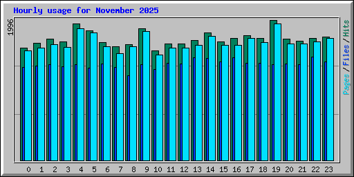 Hourly usage for November 2025